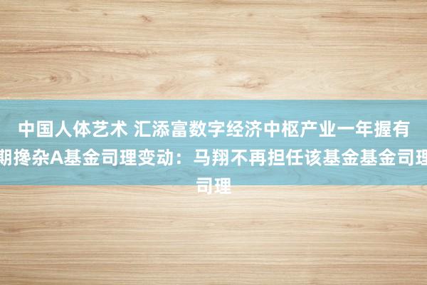 中国人体艺术 汇添富数字经济中枢产业一年握有期搀杂A基金司理变动：马翔不再担任该基金基金司理