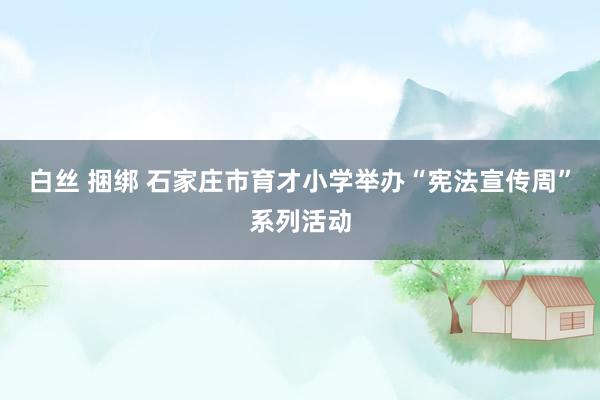 白丝 捆绑 石家庄市育才小学举办“宪法宣传周”系列活动