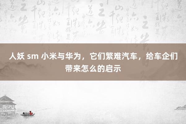 人妖 sm 小米与华为，它们繁难汽车，给车企们带来怎么的启示