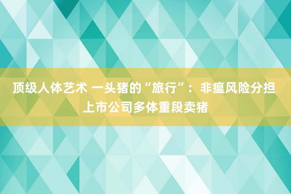 顶级人体艺术 一头猪的“旅行”：非瘟风险分担 上市公司多体重段卖猪