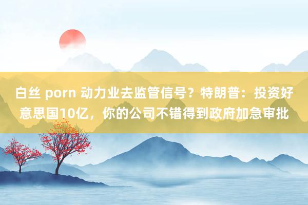 白丝 porn 动力业去监管信号？特朗普：投资好意思国10亿，你的公司不错得到政府加急审批