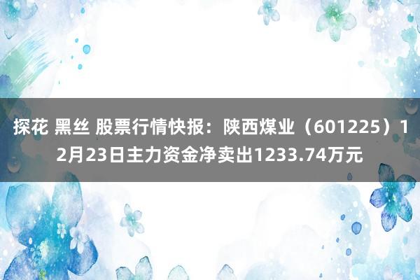 探花 黑丝 股票行情快报：陕西煤业（601225）12月23日主力资金净卖出1233.74万元