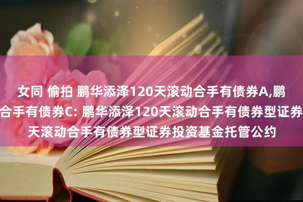 女同 偷拍 鹏华添泽120天滚动合手有债券A，鹏华添泽120天滚动合手有债券C: 鹏华添泽120天滚动合手有债券型证券投资基金托管公约