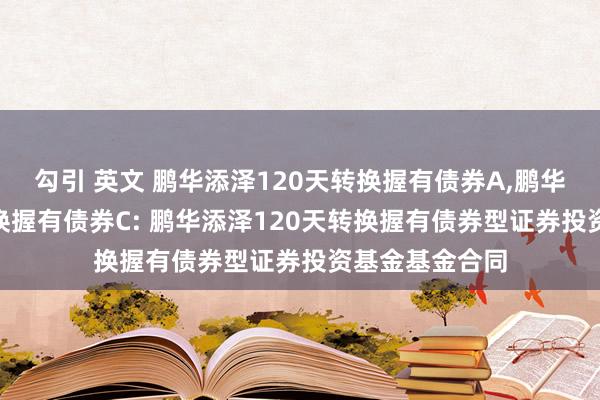 勾引 英文 鹏华添泽120天转换握有债券A，鹏华添泽120天转换握有债券C: 鹏华添泽120天转换握有债券型证券投资基金基金合同