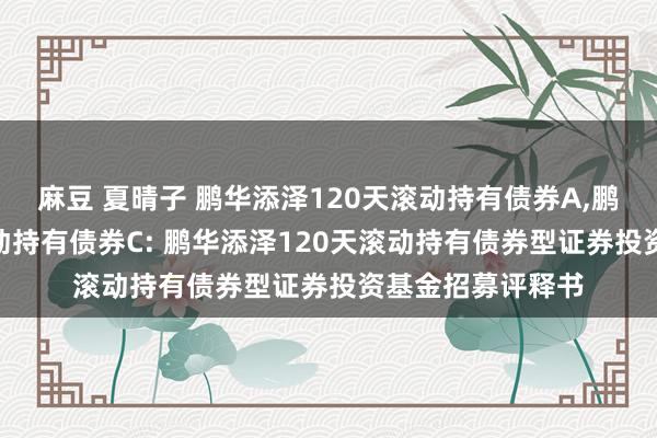 麻豆 夏晴子 鹏华添泽120天滚动持有债券A，鹏华添泽120天滚动持有债券C: 鹏华添泽120天滚动持有债券型证券投资基金招募评释书