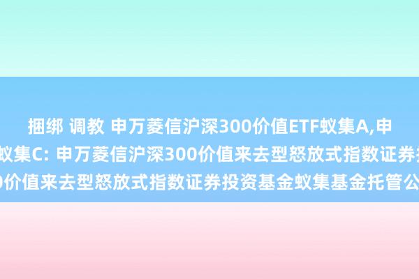 捆绑 调教 申万菱信沪深300价值ETF蚁集A，申万菱信沪深300价值ETF蚁集C: 申万菱信沪深300价值来去型怒放式指数证券投资基金蚁集基金托管公约