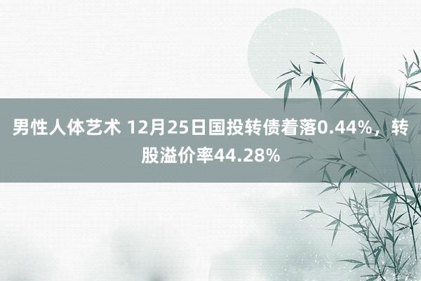 男性人体艺术 12月25日国投转债着落0.44%，转股溢价率44.28%