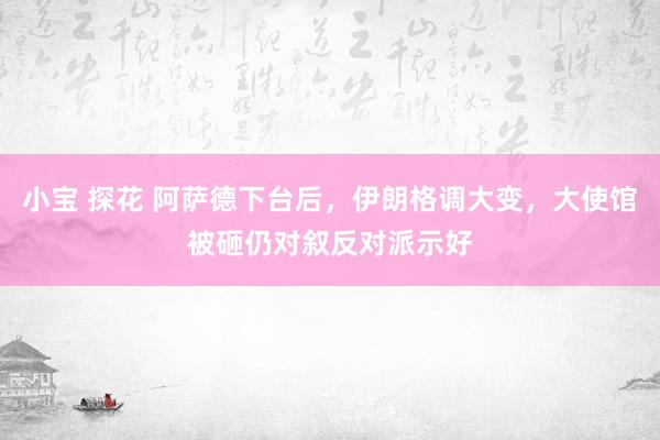 小宝 探花 阿萨德下台后，伊朗格调大变，大使馆被砸仍对叙反对派示好