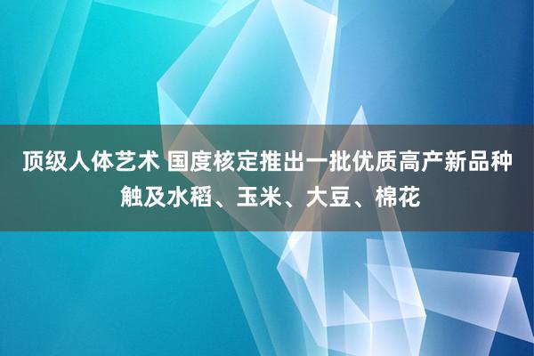 顶级人体艺术 国度核定推出一批优质高产新品种 触及水稻、玉米、大豆、棉花