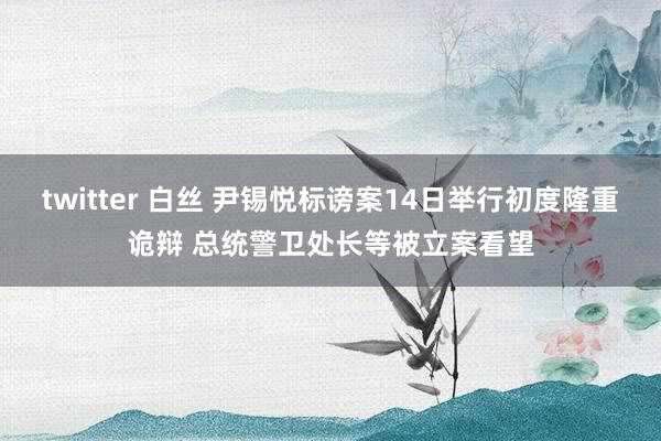 twitter 白丝 尹锡悦标谤案14日举行初度隆重诡辩 总统警卫处长等被立案看望