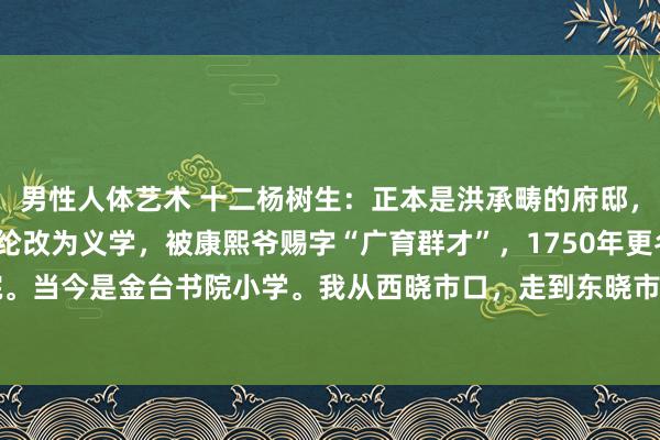 男性人体艺术 十二杨树生：正本是洪承畴的府邸，1702年被大清官施世纶改为义学，被康熙爷赐字“广育群才”，1750年更名为金台书院。当今是金台书院小学。我从西晓市口，走到东晓市口，在路北看到了这座教育。动作贰...