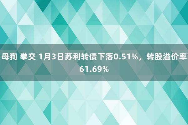 母狗 拳交 1月3日苏利转债下落0.51%，转股溢价率61.69%