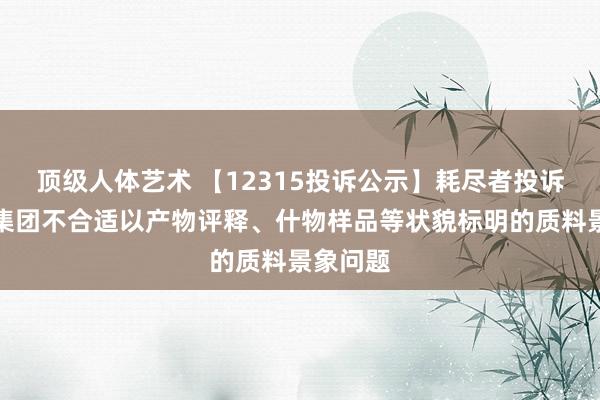 顶级人体艺术 【12315投诉公示】耗尽者投诉金利来集团不合适以产物评释、什物样品等状貌标明的质料景象问题