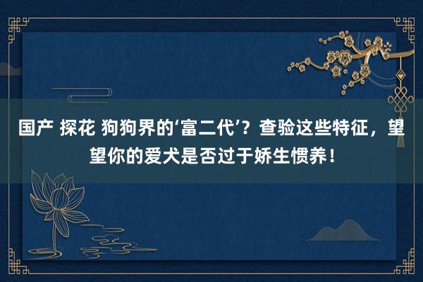 国产 探花 狗狗界的‘富二代’？查验这些特征，望望你的爱犬是否过于娇生惯养！