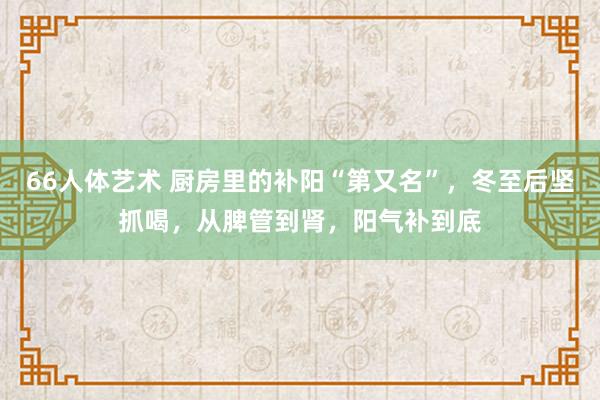 66人体艺术 厨房里的补阳“第又名”，冬至后坚抓喝，从脾管到肾，阳气补到底