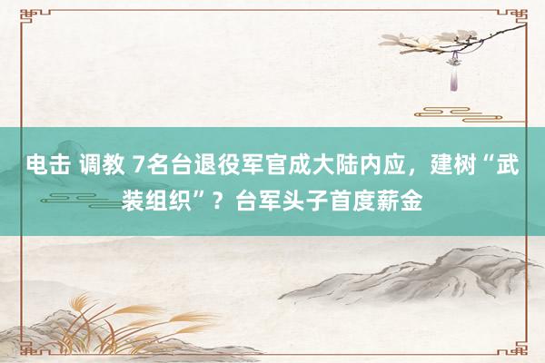 电击 调教 7名台退役军官成大陆内应，建树“武装组织”？台军头子首度薪金