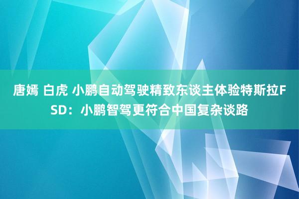 唐嫣 白虎 小鹏自动驾驶精致东谈主体验特斯拉FSD：小鹏智驾更符合中国复杂谈路